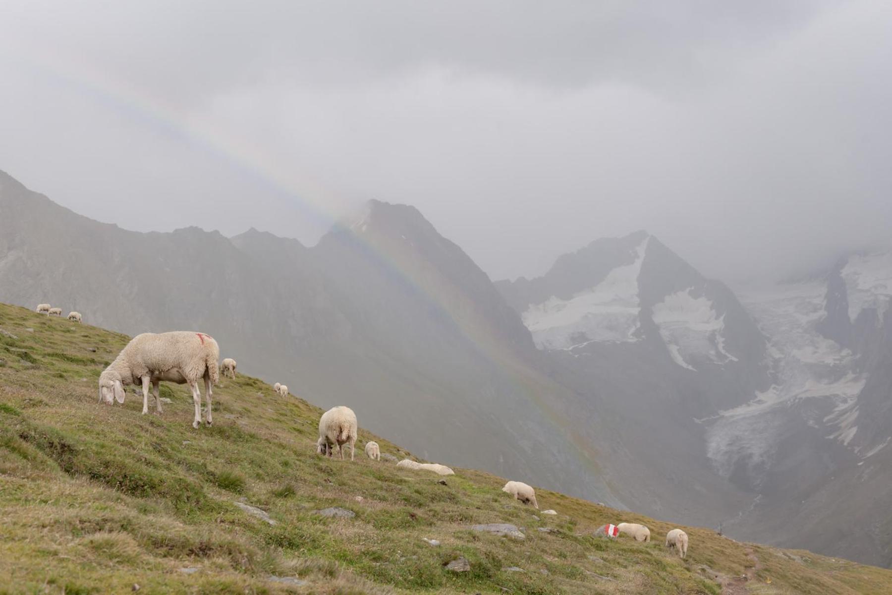 Hotel Olympia Obergurgl Buitenkant foto